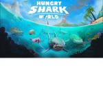 The Shark Studio