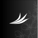 SPA | Ground Crew