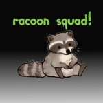 The raccoonss