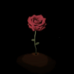Unwiltering Rose