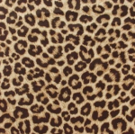jays cheetah group