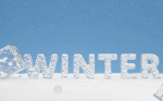 Winter’s fam