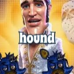 You aint nothing but a hound dog obby
