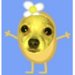 Cookie la papa =)