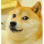 Official DogePlayz Fan Group