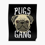 pug ganggggg