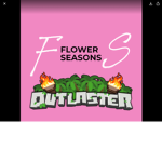 Flowers seasons
