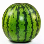Watahmelon Land
