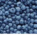• Blueberry Squad •