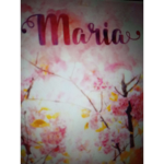 The maria group :)