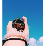 Heyy <3 koala dreams