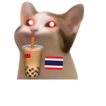 rusian pop cat