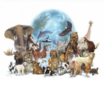 animals are beautiful creatures