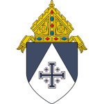 Diœcesis Paenitentia