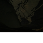 1ovealex