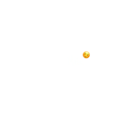 x the roblox collab x