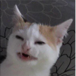 Tr0ll clan for people who like to annoy serious pe