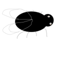 Flies's industries