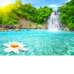 ~Paradise Island~