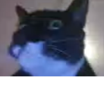 Izzy,is,da,best