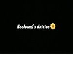 Koolmexi’s daisies