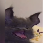supgameggyt
