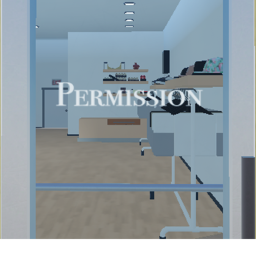 Permission Skateshop