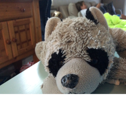 raccoon world