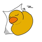 Sleeping Duck