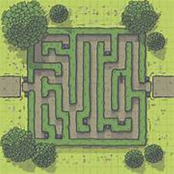 The Crazy Maze