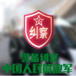 (AGP) 警备纠察