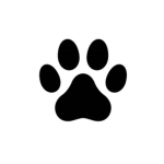 Meine Hunde