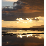 DREAMSCAPES!