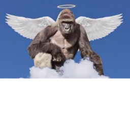 Monke