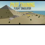 Flight Simulator - United States Of America