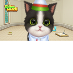 Cute kitty cats123