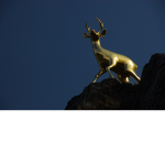 Antler empire
