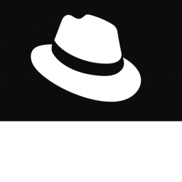 Server Owner (Remake)