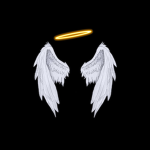 Heavenly Devs