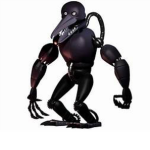 the baufan2025