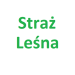 Straż Leśna W Zielonej Dolinie