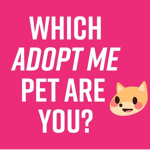 Adopt Me By Courtney