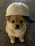 NeonixStyles