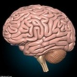 IQ Simulator