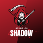 亗SHADOW ASSASSIN亗