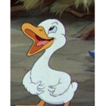 Calvicornios xd