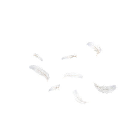 [Animated] Angel Feathers Aura