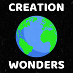 Creation Wonders