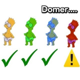 domer obby 🥀
