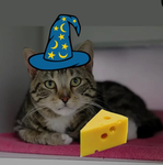 TEH EPIK cheese wizards
